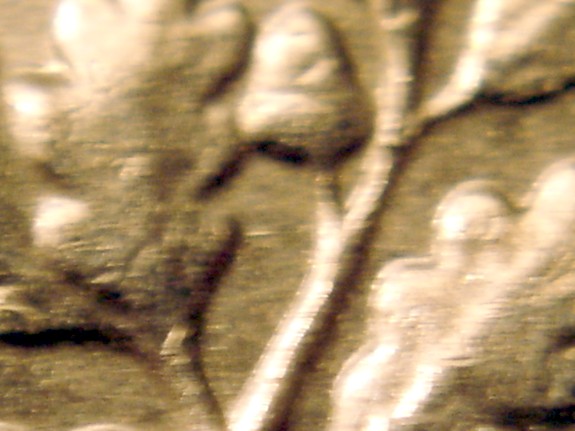 1988-P-Roosevelt-Dime--What-Is-That--Metal-Below-The-Acorn?